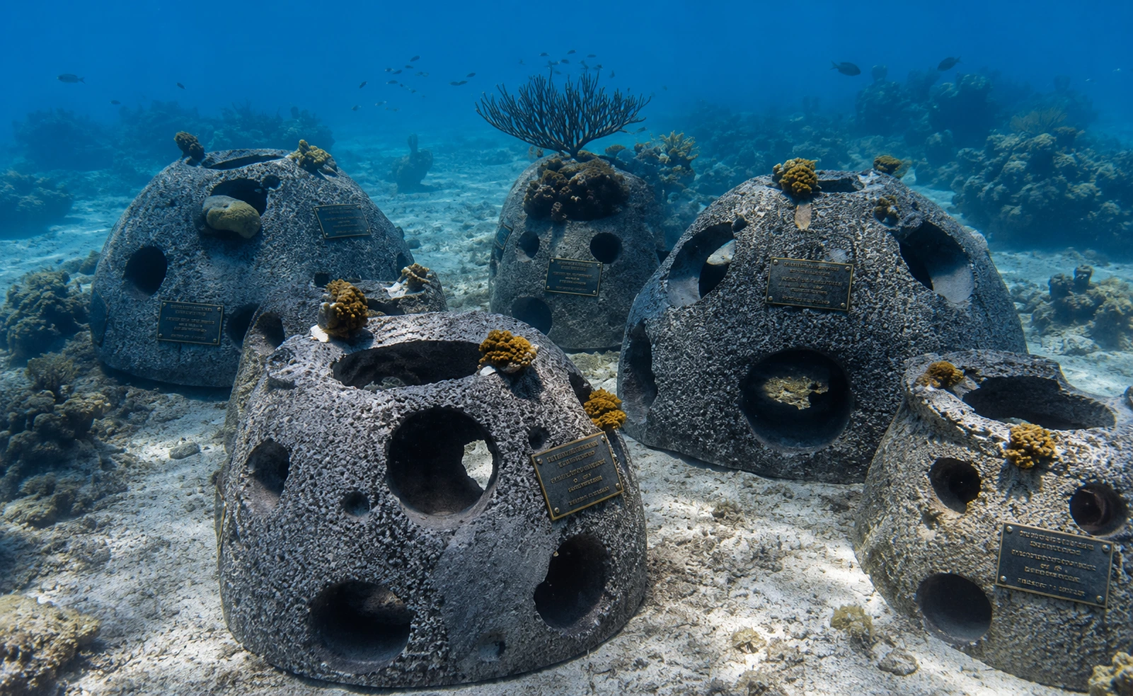 An Eternal Reef memorial — a cluster of dome-shaped memorial reef balls with personalized plaques on the sandy seafloor, surrounded by coral and clear blue water